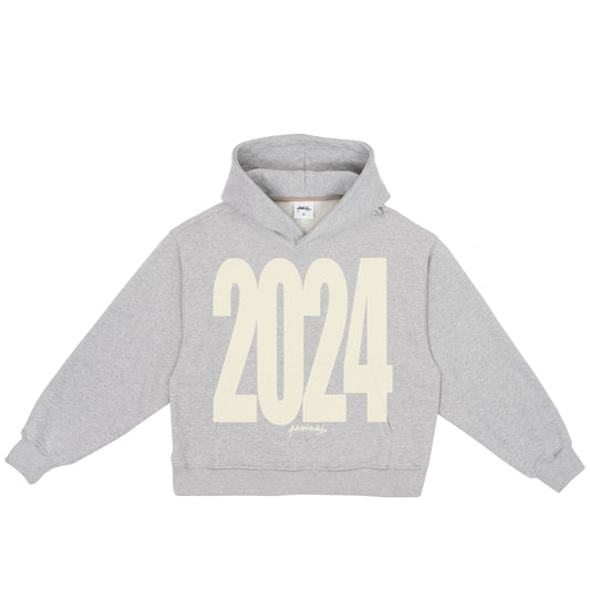 GREY HOODIE 2024